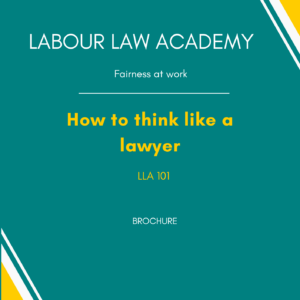 101 Brochure- how to think like a lawyer