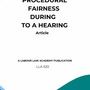 520 Procedural fairness during the hearing